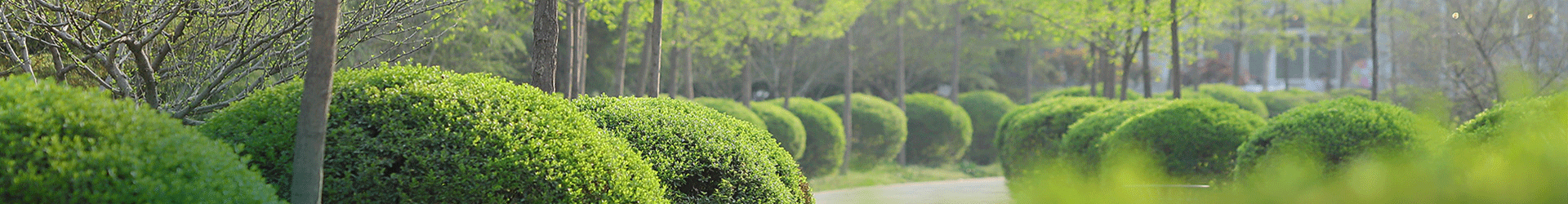 pc28官网(中国)官方网站