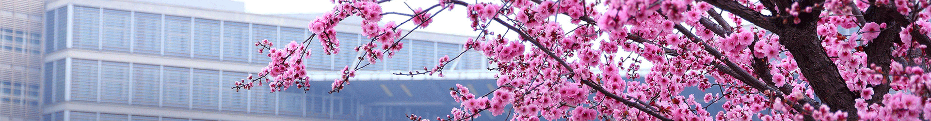 pc28官网(中国)官方网站